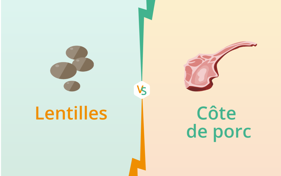 Lentilles VS porc