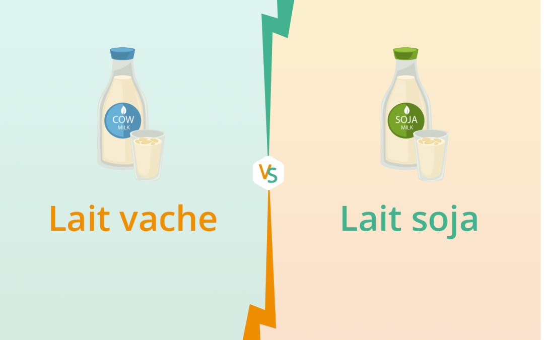 Lait de vache VS lait de soja