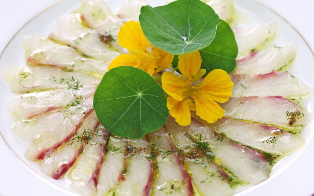 Carpaccio de dorade