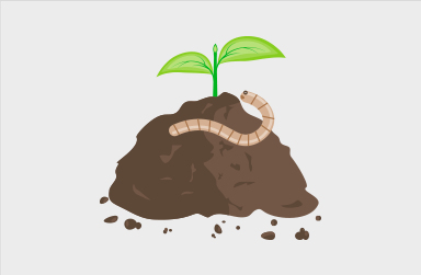 Choisis ton type de compost